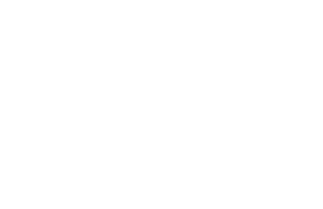 ŠtuRKo Logo